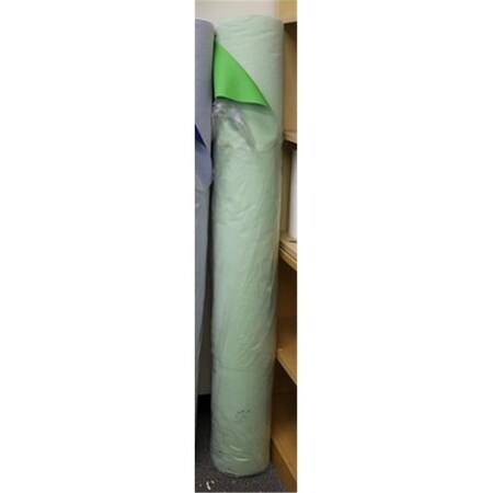 Repartir 54 in. x 50 yard Vinyl Roll for Multipurpose Vehicular, Green RE2001583